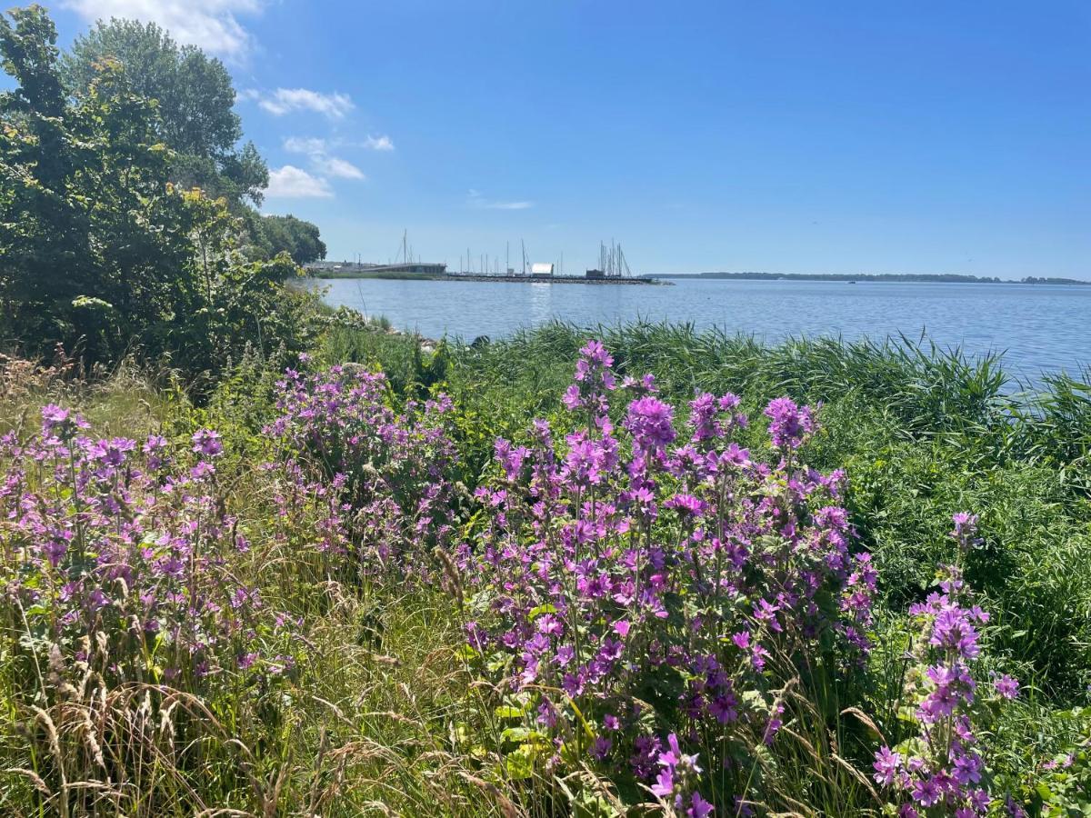 Biedermann Holiday home Wiek auf Ruegen